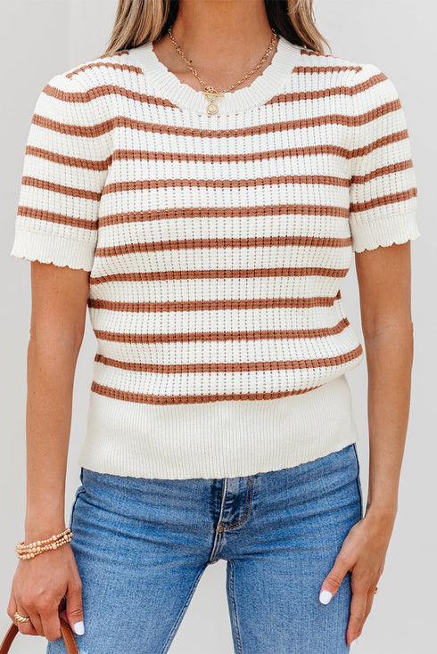 Scalloped Crew Neck Striped Textured Short Sleeve Sweater