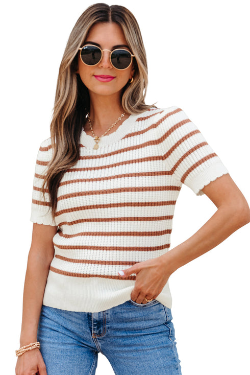 Scalloped Crew Neck Striped Textured Short Sleeve Sweater