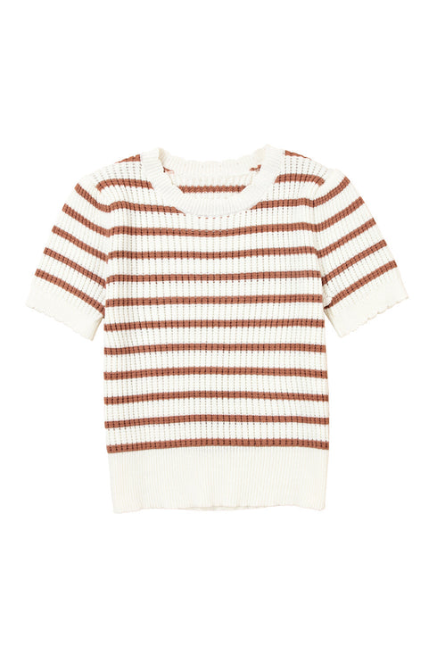 Scalloped Crew Neck Striped Textured Short Sleeve Sweater