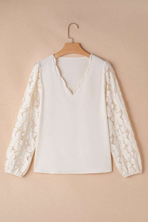 Scalloped V Neck Textured Lace Lantern Sleeve Blouse