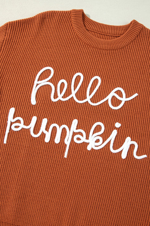 Script Phrase Graphic Ribbed Knit Crew Neck Sweater