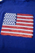 Sequin Flag Graphic Crew Neck Knit Sweater Vest