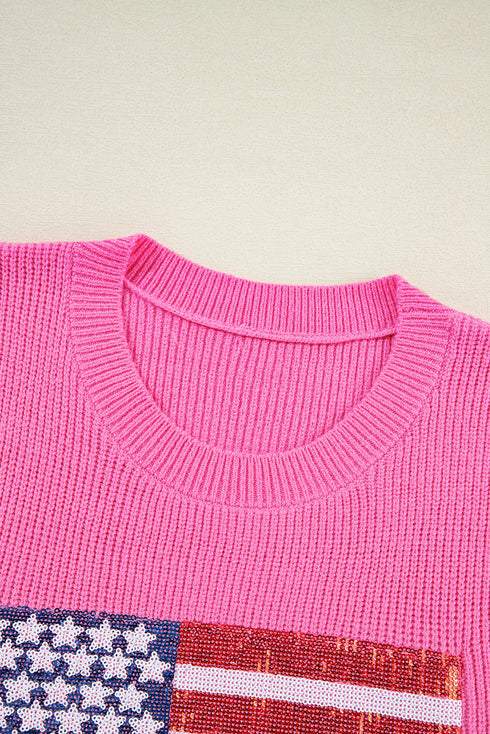 Sequin Flag Graphic Crew Neck Knit Sweater Vest