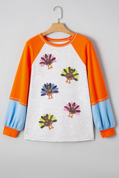 Sequin Turkey Graphic Color Block Raglan Long Sleeve Curved Hem Tee