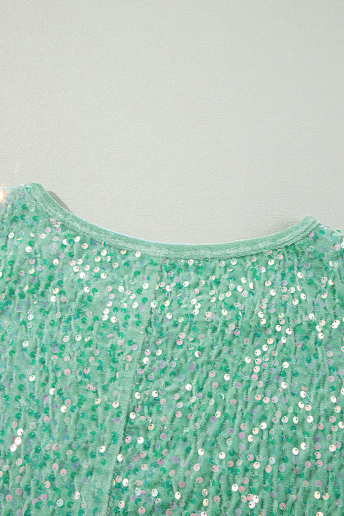 Sequin Velvet Batwing Sleeve V Neck Blouse