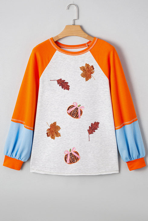 Sequined Graphic Patch Contrast Sleeve Knit Top