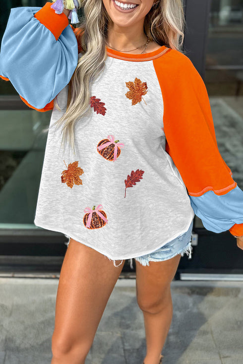 Sequined Graphic Patch Contrast Sleeve Knit Top