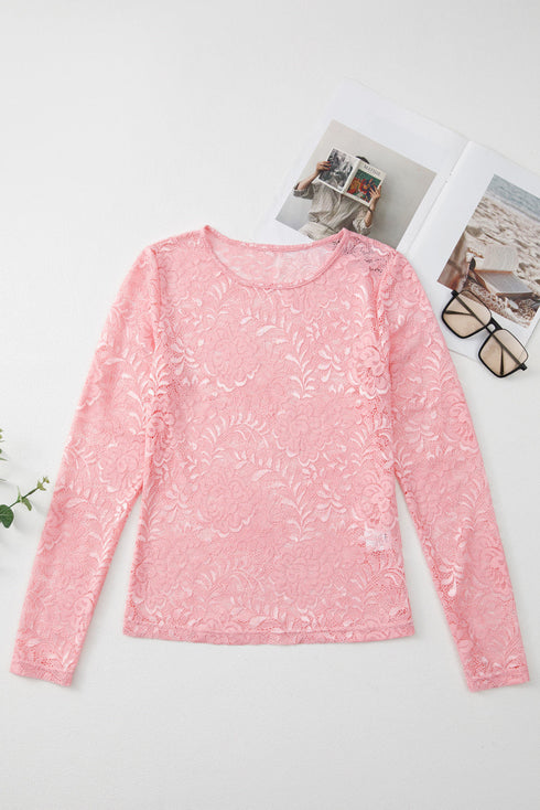 Sheer Floral Lace Long Sleeve V Neck Top