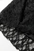 Sheer Lace Long Sleeve Slim Henley Top