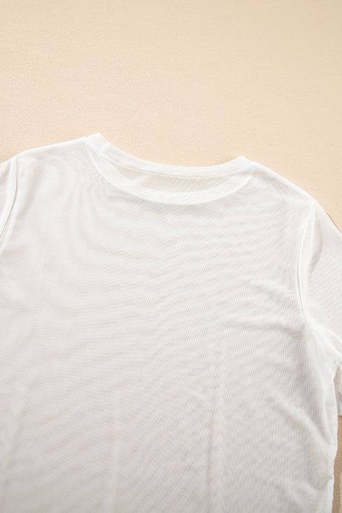 Sheer Mesh Short Sleeve Crew Neck Top