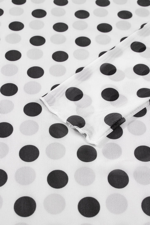 Sheer Polka Dot Mesh Stand Neck Long Sleeve Top