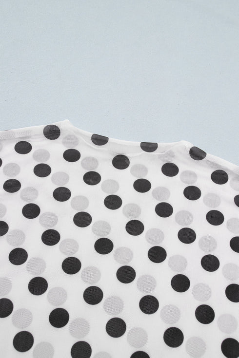 Sheer Polka Dot Mesh Stand Neck Long Sleeve Top