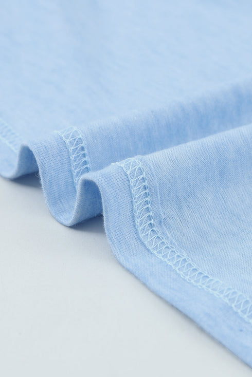 Sheer Striped Short Sleeve Flare T-Shirt Mini Dress