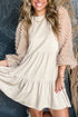 Sheer Textured Sleeve Tiered Ruffle Mini Dress