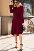 Side Ruched Crew Neck Long Sleeve Bodycon Fit Elegant Midi Dress