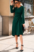 Side Ruched Crew Neck Long Sleeve Bodycon Fit Elegant Midi Dress