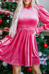 Smocked Velvet Mock Neck Long Sleeve Mini Dress