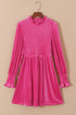 Smocked Velvet Mock Neck Long Sleeve Mini Dress