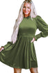 Smocked Velvet Mock Neck Long Sleeve Mini Dress