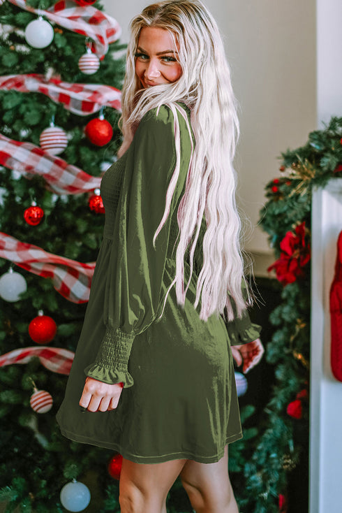 Smocked Velvet Mock Neck Long Sleeve Mini Dress