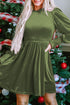 Smocked Velvet Mock Neck Long Sleeve Mini Dress