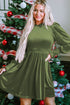 Smocked Velvet Mock Neck Long Sleeve Mini Dress