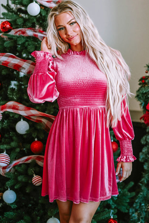 Smocked Velvet Mock Neck Long Sleeve Mini Dress