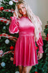 Smocked Velvet Mock Neck Long Sleeve Mini Dress