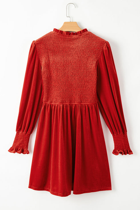 Smocked Velvet Mock Neck Long Sleeve Mini Dress