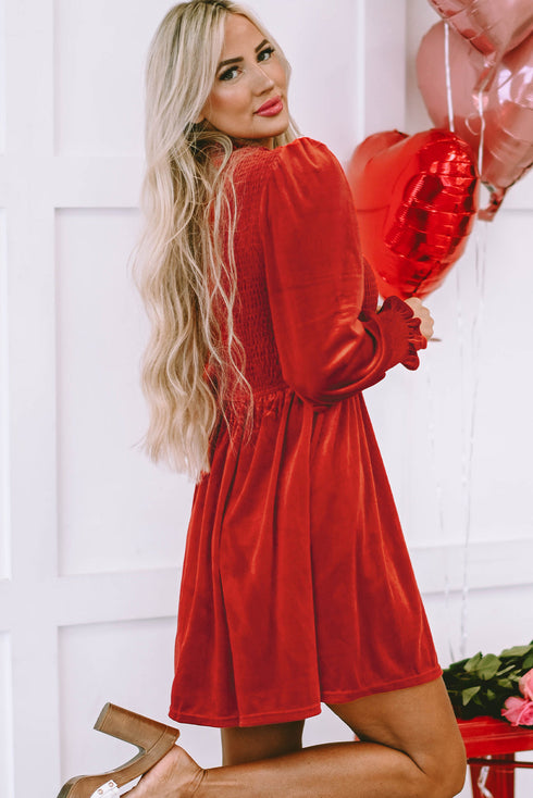Smocked Velvet Mock Neck Long Sleeve Mini Dress
