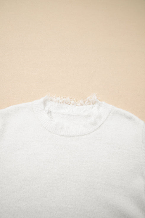 Soft Brushed Knit Sheer Lace Sleeve Pullover Sweater