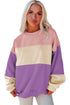 Soft Color Block Drop Shoulder Crew Neck Sweatshirt