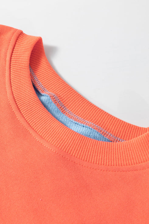 Soft Color Block Drop Shoulder Crew Neck Sweatshirt