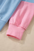 Soft Color Block Drop Shoulder Crew Neck Sweatshirt