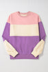Soft Color Block Drop Shoulder Crew Neck Sweatshirt