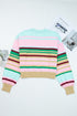 Soft Knit Striped Balloon Sleeve Crew Neck Sweater
