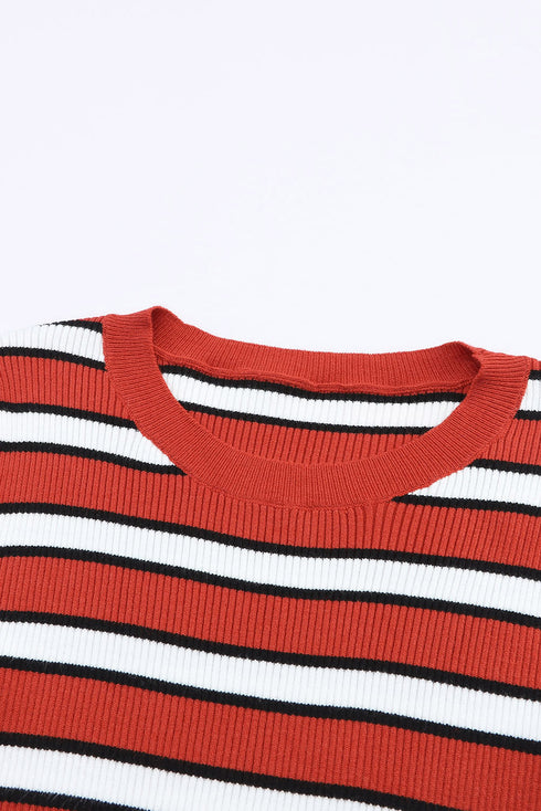 Soft Ribbed Knit Striped Print Slim Fit Top