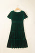 Soft Velvet Shirred Waist Tiered Short Sleeve Maxi Dress