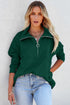 Solid Color Zip Collar Sweatshirt With Pockets