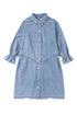 Solid Denim Buttoned Long Sleeve H Line Mini Dress