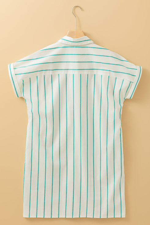 Sophisticated St Patricks Striped Wide Short Sleeve Shift Mini Shirt Dress