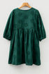 Southern Belle Embroidered Eyelet Puff Sleeve Mini Dress