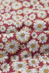 Southern Belle Floral Print Stand Neck Pocketed Jacket