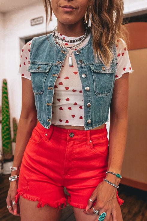 Southern Belle Heart Print Sheer Mesh Short Sleeve Top
