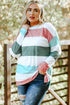 Southern Belle Paneled Print Pullover Long Sleeve Top