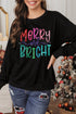 Sparkling Script Graphic Long Sleeve Crewneck Pullover Sweatshirt