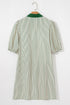 Stripe Color Block Patchwork Shirt Collar Button Down Puff Sleeve Mini Dress