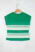 Stripe Mixed Print Crew Neck Cap Sleeve T Shirt