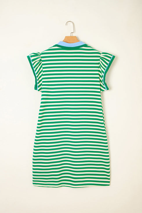 Stripe Print Contrast Collar Flutter Sleeve Mini Dress