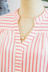Stripe Print Floral Embroidered Puff Sleeve V Neck Blouse
